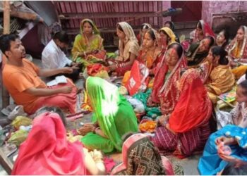 Vat Savitri Puja in Patna Disrupted by Bee Attack, Several Women Injured in Dhanarua Village