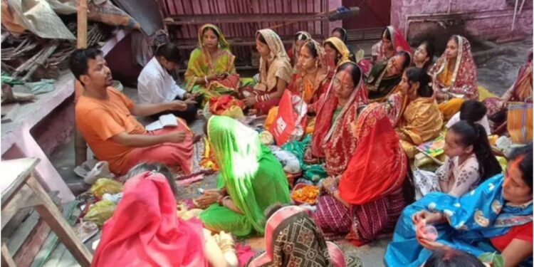 Vat Savitri Puja in Patna Disrupted by Bee Attack, Several Women Injured in Dhanarua Village