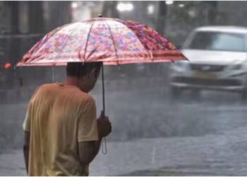 Bihar Weather Alert: Heavy Rain and Storm Warning Issued; Winds May Gust Up to 50 km/h, Farmers Advised