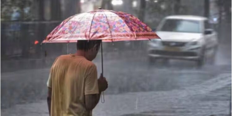 Bihar Weather Alert: Heavy Rain and Storm Warning Issued; Winds May Gust Up to 50 km/h, Farmers Advised
