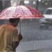 Bihar Weather Alert: Heavy Rain and Storm Warning Issued; Winds May Gust Up to 50 km/h, Farmers Advised