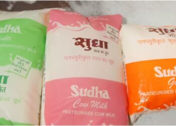 Sudha Milk Prices Rise by Rs 2 Per Litre Across Bihar Amid Fresh Dairy Cost Hike