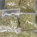 Gaya Police Seize 302 Kg Ganja from Parcel Van; Two Patna Youths Arrested
