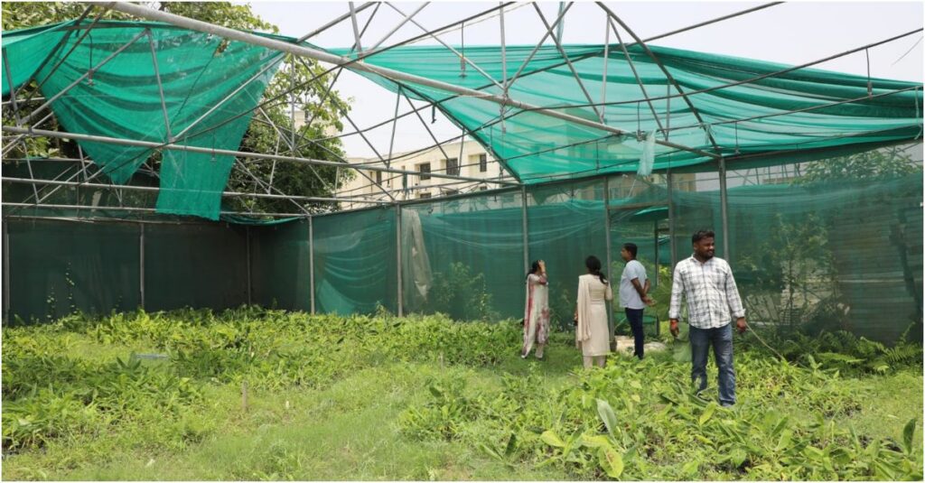 Severe Storm Causes Extensive Damage at BAU Sabour; Vice-Chancellor Inspects Affected Areas and Forms Assessment Committees