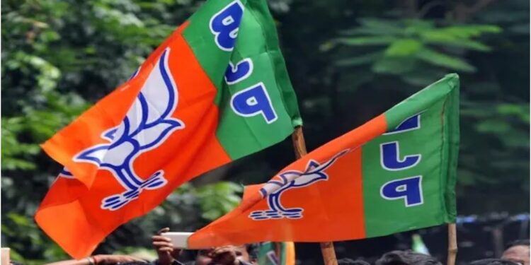 Bihar BJP Announces New State Team, 14 Leaders Appointed as State Vice Presidents