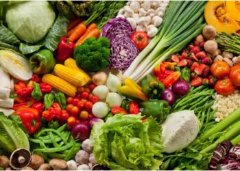 Bihar Farmers to Supply Vegetables Directly to Major Food Companies Under New VEGFED Initiative