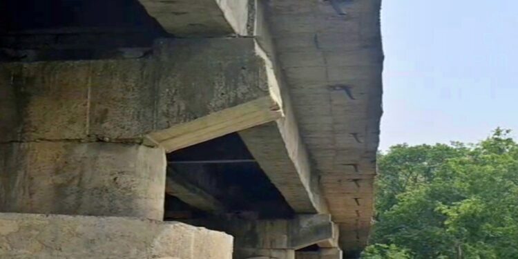 Cracks Detected In 15-Year-Old Bridge : Heavy Traffic Stopped on Busy Bihar-Jharkhand Route