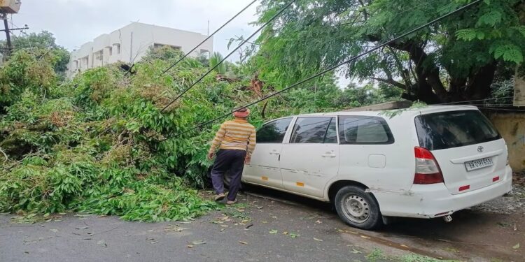 Storms and Lightning Kill 19 Across Bihar as Unseasonal Weather Batters State for Third Day