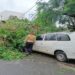Storms and Lightning Kill 19 Across Bihar as Unseasonal Weather Batters State for Third Day