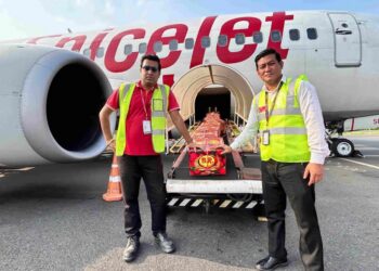 First Air Consignment Of Muzaffarpur’s GI-Tagged Shahi Litchi Sent From Darbhanga To Ahmedabad