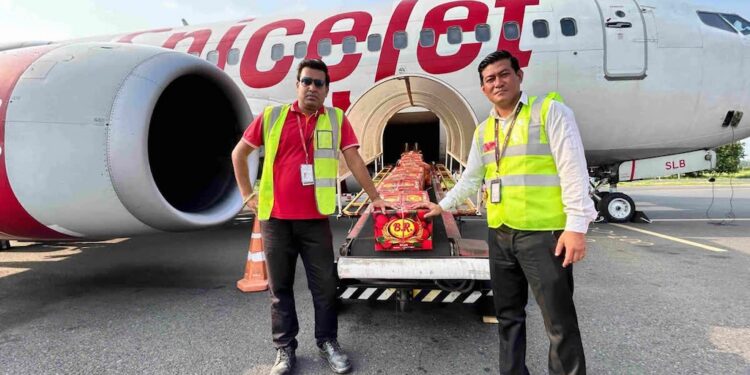 First Air Consignment Of Muzaffarpur’s GI-Tagged Shahi Litchi Sent From Darbhanga To Ahmedabad