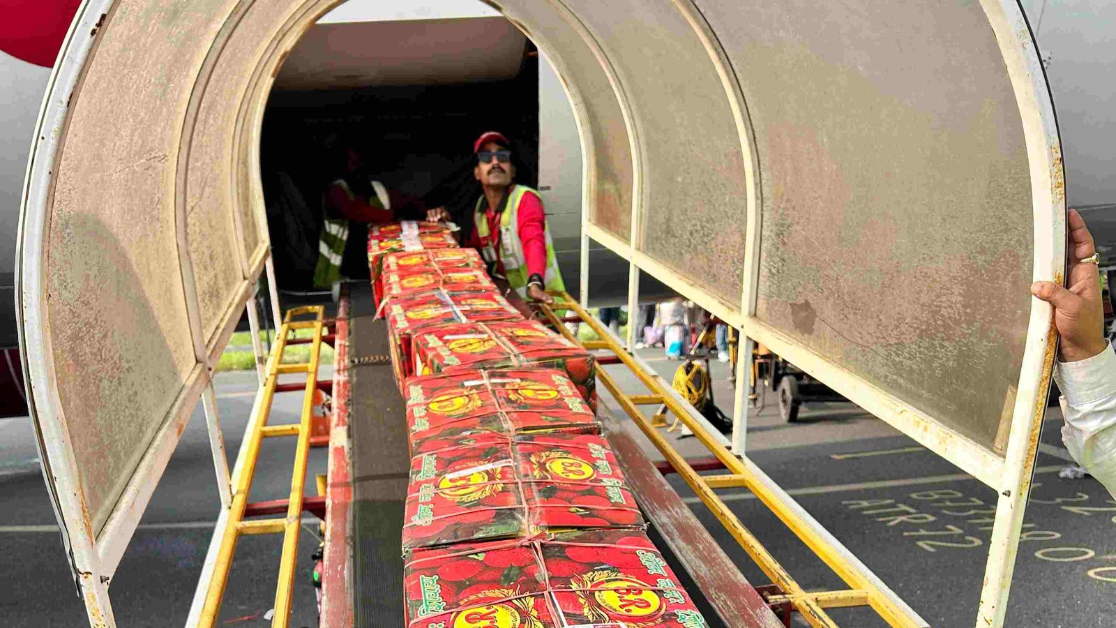 First Air Consignment Of Muzaffarpur’s GI-Tagged Shahi Litchi Sent From Darbhanga To Ahmedabad