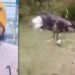 Kishanganj Maulana death