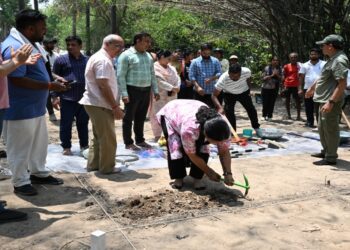 Magadh University begins first excavation at Gaya’s Dubba site, researchers explore possible Buddhist heritage route