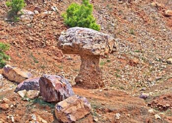 Gaya’s Incredible Rock Art: Hand-Carved Mushroom Rock Draws Tourist Attention