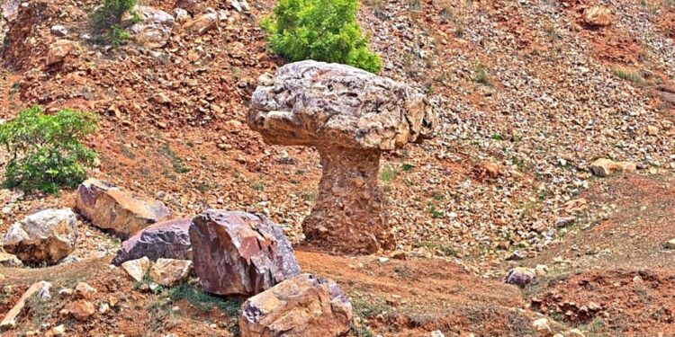 Gaya’s Incredible Rock Art: Hand-Carved Mushroom Rock Draws Tourist Attention