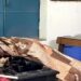 Railway Gateman Falls Asleep After Closing Crossing Near Mokama; Jan Shatabdi Among 3 Trains Delayed, Staffer Suspended