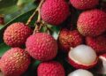 Low Supply, High Demand: Muzaffarpur Litchi Emerges as Summer Favourite in Metros