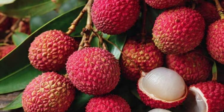 Low Supply, High Demand: Muzaffarpur Litchi Emerges as Summer Favourite in Metros