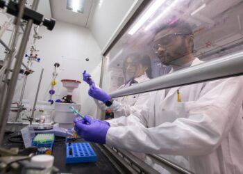 IIT Kanpur And NYU Tandon Expand Research Partnership Across AI, Cybersecurity And Biotechnology