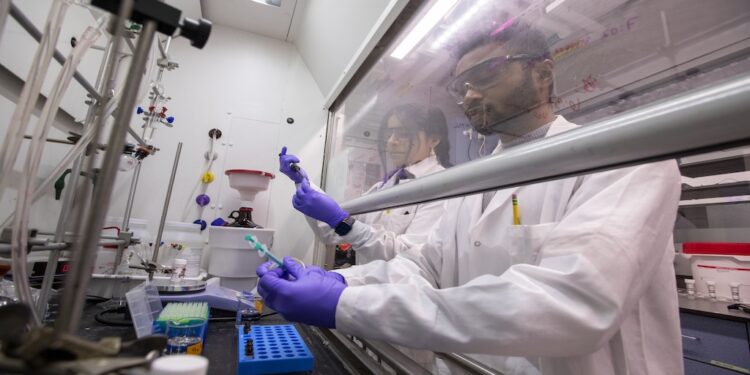 IIT Kanpur And NYU Tandon Expand Research Partnership Across AI, Cybersecurity And Biotechnology