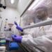 IIT Kanpur And NYU Tandon Expand Research Partnership Across AI, Cybersecurity And Biotechnology