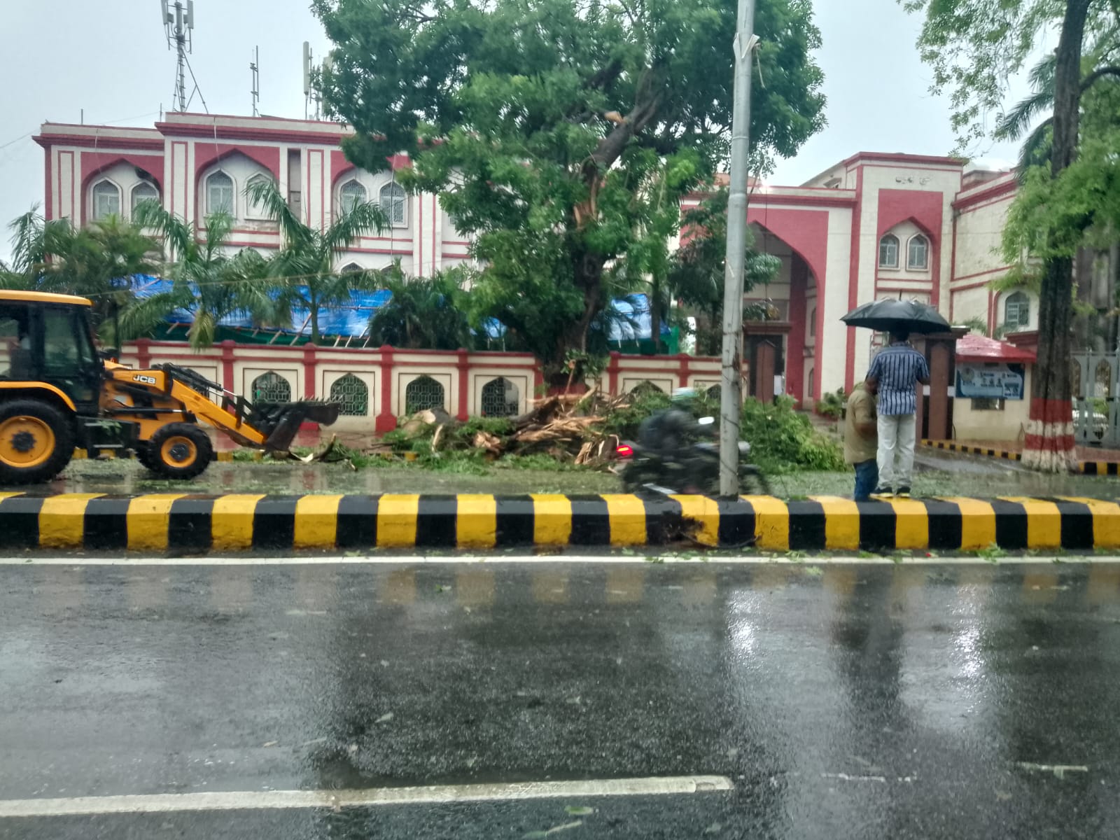 Patna Battered by Storm and Rain: Trees Uprooted, Traffic and Power Supply Disrupted Across City