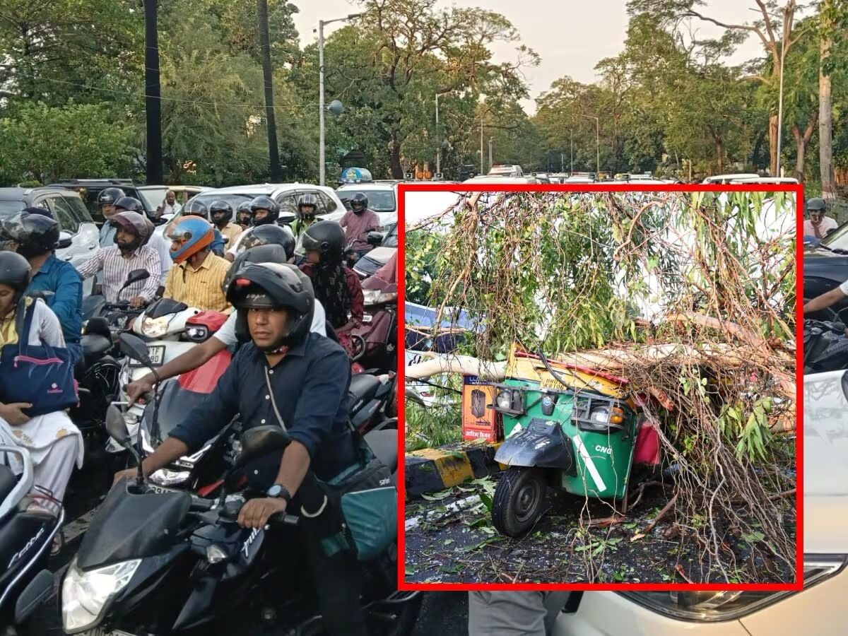 Two-Hour Gridlock Across Patna After Storm Sends Trees Crashing Onto Roads And Vehicles