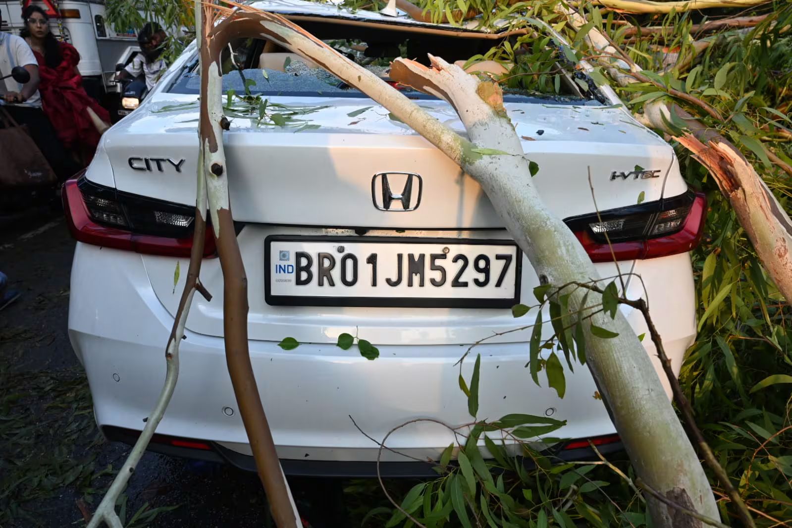 Storm Chaos In Patna Leaves Four Dead, Zoo Closed And Flight Diverted