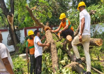 Patna Storm Cleanup Continues On War Footing As Agencies Race To Restore Normalcy