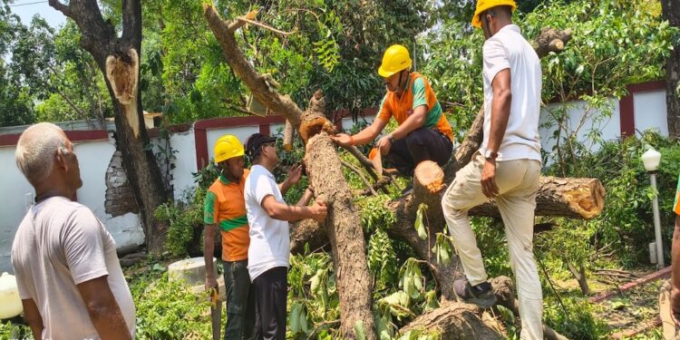 Patna Storm Cleanup Continues On War Footing As Agencies Race To Restore Normalcy