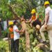 Patna Storm Cleanup Continues On War Footing As Agencies Race To Restore Normalcy