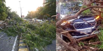 Storm Chaos In Patna Leaves Four Dead, Zoo Closed And Flight Diverted