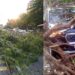 Storm Chaos In Patna Leaves Four Dead, Zoo Closed And Flight Diverted