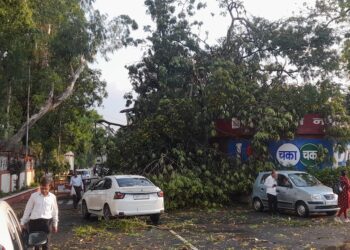 Two-Hour Gridlock Across Patna After Storm Sends Trees Crashing Onto Roads And Vehicles