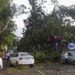 Two-Hour Gridlock Across Patna After Storm Sends Trees Crashing Onto Roads And Vehicles