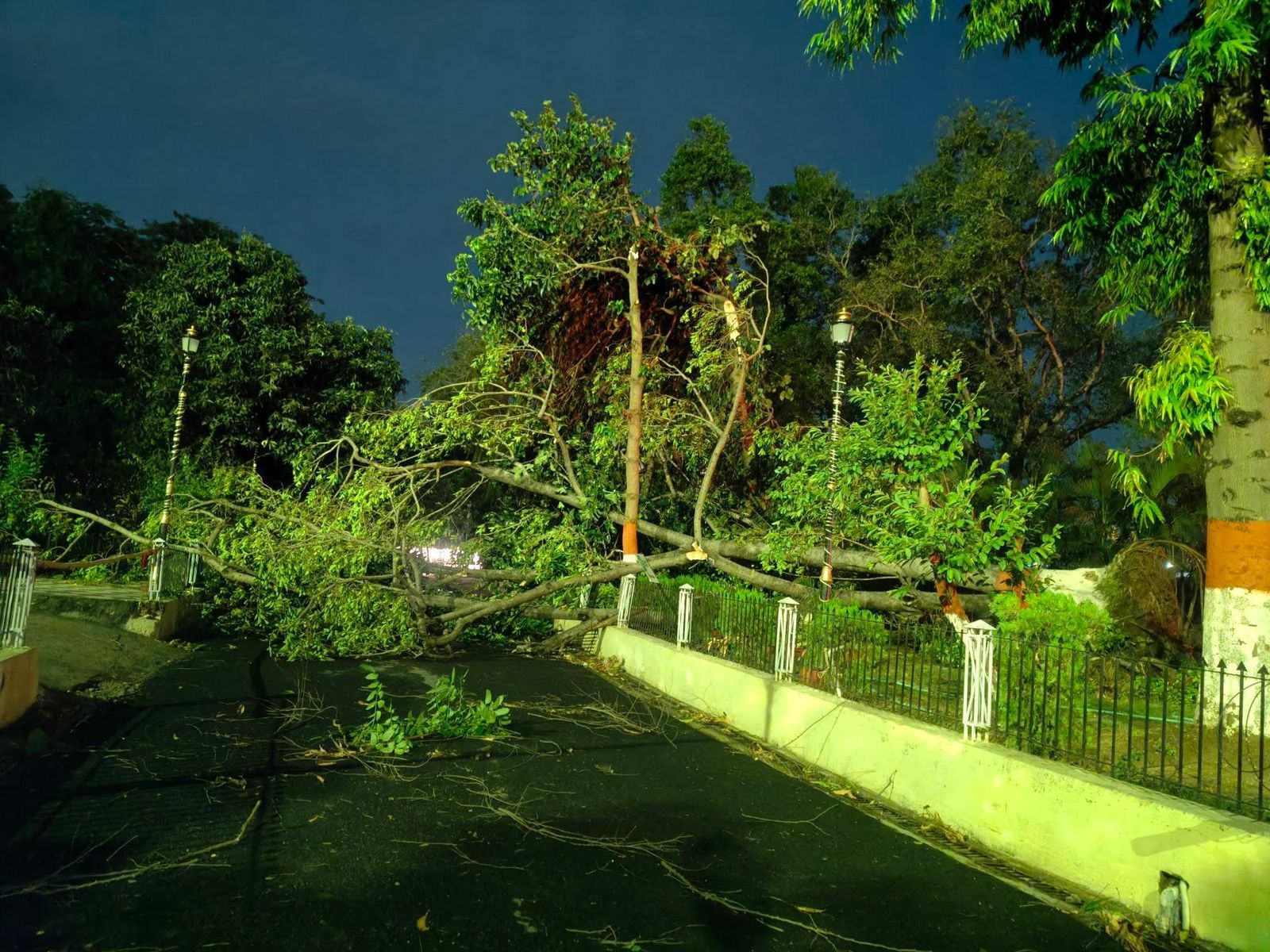 Two-Hour Gridlock Across Patna After Storm Sends Trees Crashing Onto Roads And Vehicles
