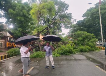 Patna Battered by Storm and Rain: Trees Uprooted, Traffic and Power Supply Disrupted Across City