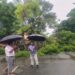 Patna Battered by Storm and Rain: Trees Uprooted, Traffic and Power Supply Disrupted Across City