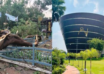Patna Zoo To Remain Closed Till Tuesday As Storm Cleanup Continues; Bapu Tower Shut For Repairs