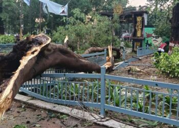 Storm Chaos In Patna Leaves Four Dead, Zoo Closed And Flight Diverted