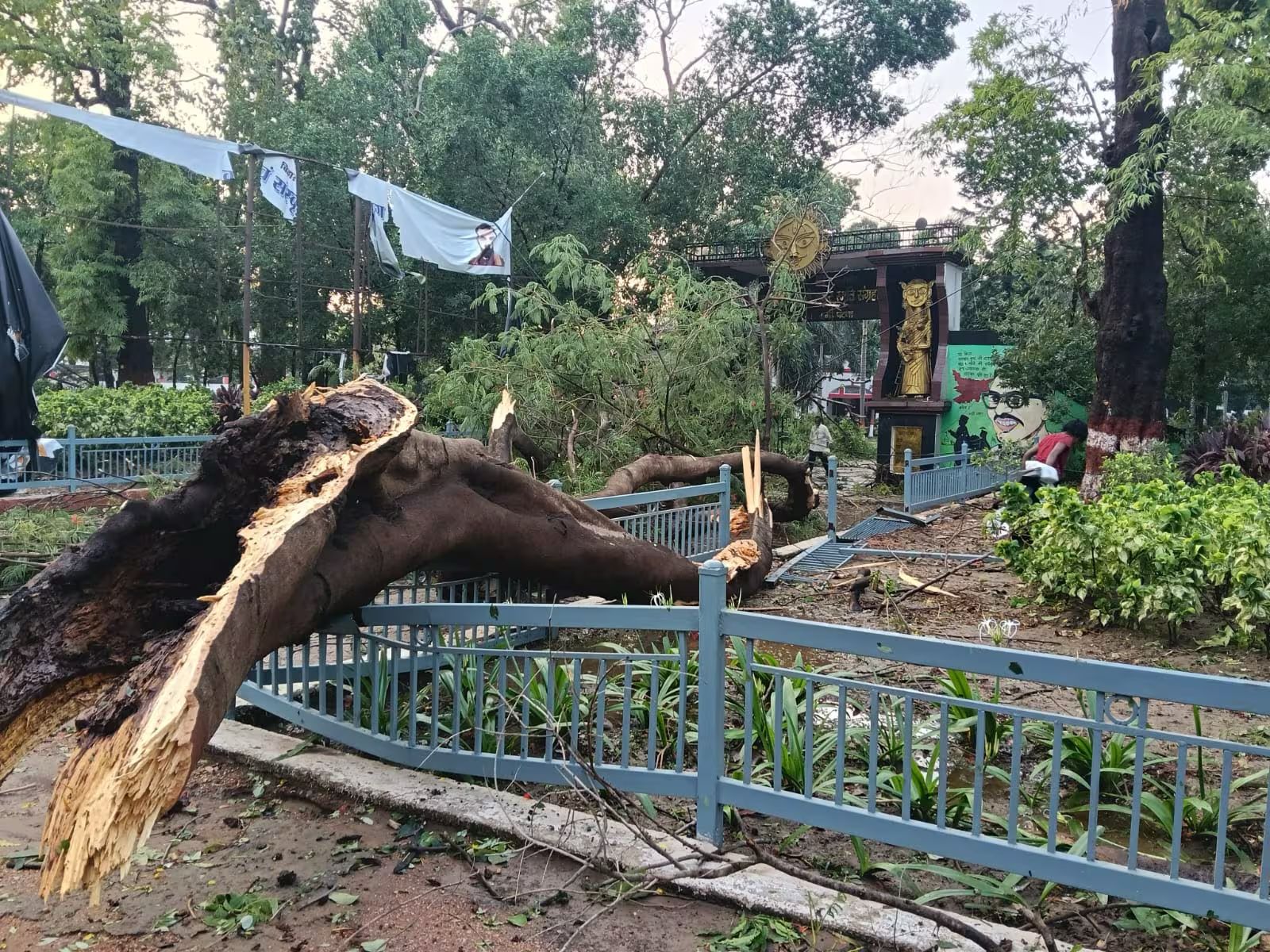 Storm Chaos In Patna Leaves Four Dead, Zoo Closed And Flight Diverted