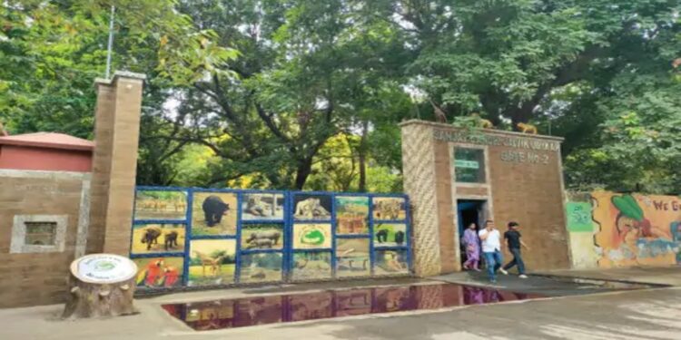 Patna Zoo Visitors Alert: Traffic Diversions, Entry Changes As Metro Work Set To Begin