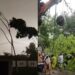 Sudden Thunderstorm Darkens Patna Skies As Heavy Rain Sweeps Bihar