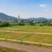 Gaya Real Estate Boom: Vishnupad Corridor And Satellite Township Push Land Prices To Record Highs