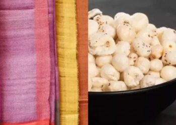 Red Sea Crisis Impacts Bihar Makhana And Handicraft Shipments to US and UK