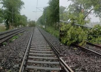 Vande Bharat, Janshatabdi, Duronto Among TRains Hit As Rain And Storm Disrupt Rail Routes
