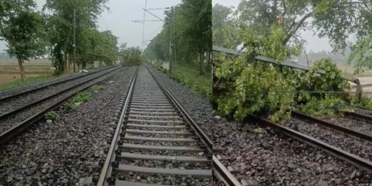 Vande Bharat, Janshatabdi, Duronto Among TRains Hit As Rain And Storm Disrupt Rail Routes