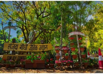 Patna Zoo To Upgrade Aquarium With Digital Displays And Smart Ticket Kiosks