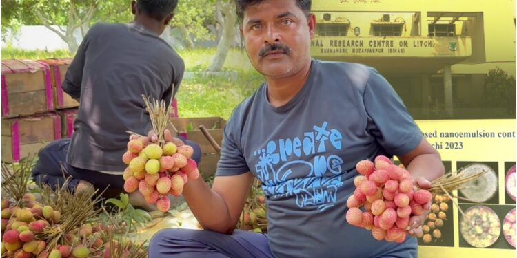 Bihar’s Shahi Litchi Gets Longer Life As Muzaffarpur Farmer Develops Herbal Preservation Method